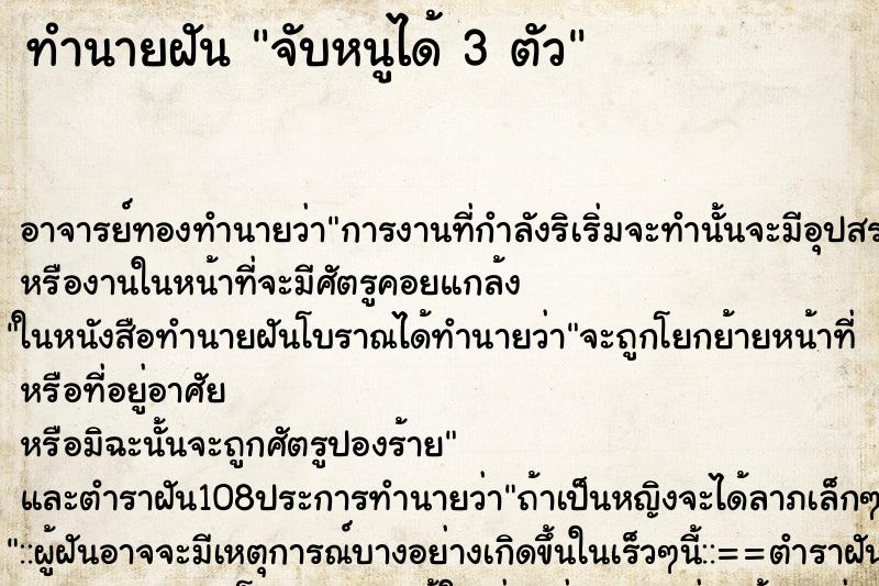 ทำนายฝัน จับหนูได้ 3 ตัว ตำราโบราณ แม่นที่สุดในโลก